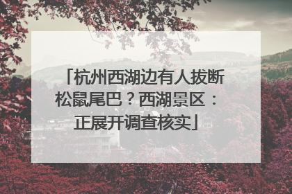 杭州西湖边有人拔断松鼠尾巴？西湖景区：正展开调查核实