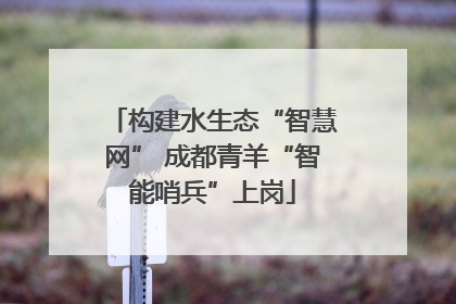 构建水生态“智慧网” 成都青羊“智能哨兵”上岗