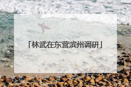 林武在东营滨州调研