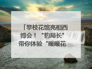 攀枝花馆亮相西博会！“豹局长”带你体验“暖暖花城”独特魅力｜西博视界