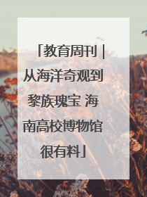 教育周刊｜从海洋奇观到黎族瑰宝 海南高校博物馆很有料