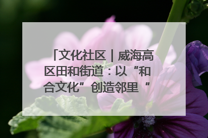 文化社区｜威海高区田和街道：以“和合文化”创造邻里“和合之美”
