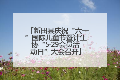 新田县庆祝“六一”国际儿童节暨计生协“5·29会员活动日”大会召开
