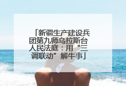 新疆生产建设兵团第九师乌拉斯台人民法庭：用“三调联动”解牛事