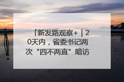 新发路观察+｜20天内，省委书记两次“四不两直”暗访，有何深意？
