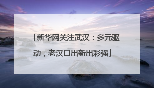 新华网关注武汉：多元驱动，老汉口出新出彩强