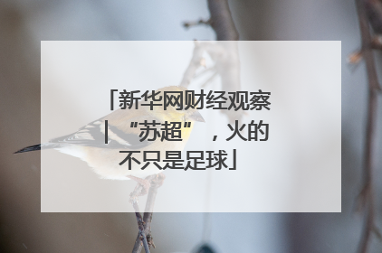新华网财经观察｜“苏超”，火的不只是足球