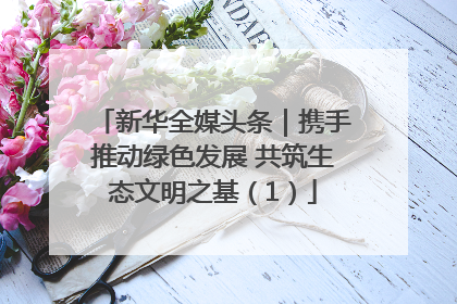 新华全媒头条｜携手推动绿色发展 共筑生态文明之基（1）