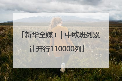 新华全媒+｜中欧班列累计开行110000列