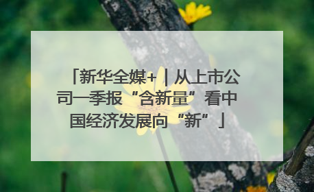 新华全媒+｜从上市公司一季报“含新量”看中国经济发展向“新”