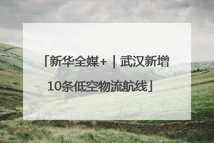 新华全媒+｜武汉新增10条低空物流航线