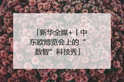 新华全媒+丨中东欧博览会上的“数智”科技秀
