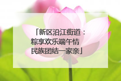新区沿江街道：粽享欢乐端午情 民族团结一家亲