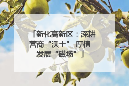 新化高新区：深耕营商“沃土” 厚植发展“磁场”