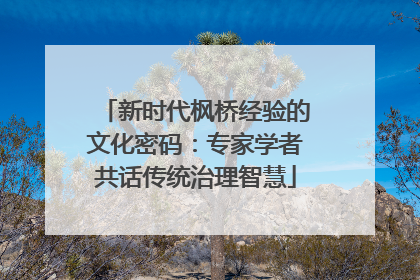 新时代枫桥经验的文化密码：专家学者共话传统治理智慧