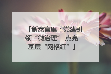 新泰宫里：党建引领“微治理” 点亮基层“网格红”