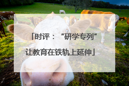 时评：“研学专列”让教育在铁轨上延伸