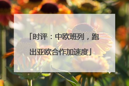 时评：中欧班列，跑出亚欧合作加速度