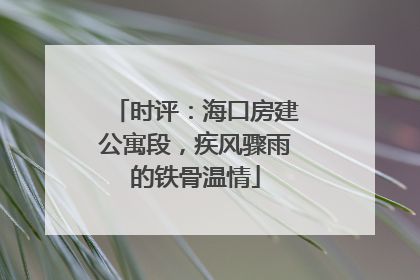 时评：海口房建公寓段，疾风骤雨的铁骨温情
