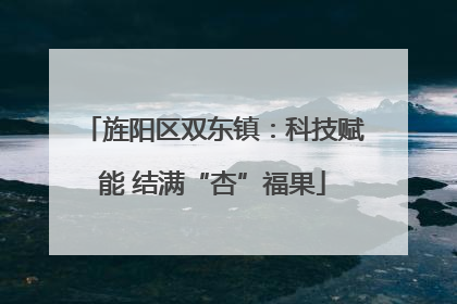 旌阳区双东镇：科技赋能 结满“杏”福果