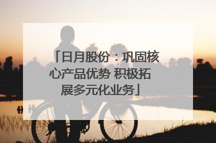 日月股份：巩固核心产品优势 积极拓展多元化业务