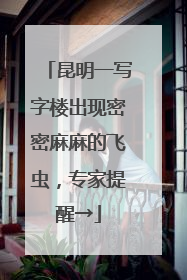 昆明一写字楼出现密密麻麻的飞虫，专家提醒→