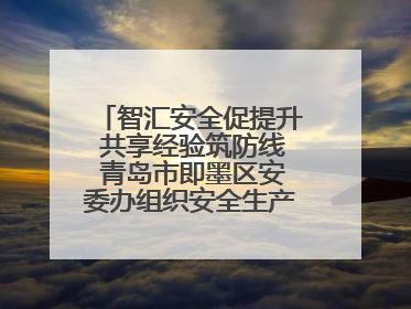 智汇安全促提升 共享经验筑防线 青岛市即墨区安委办组织安全生产共享专家现场观摩学习活动