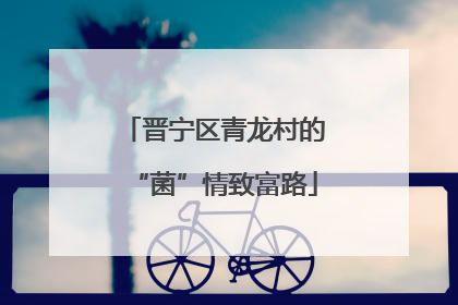 晋宁区青龙村的“菌”情致富路