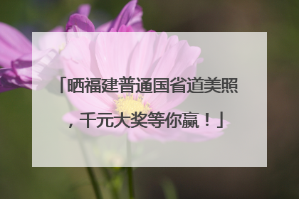 晒福建普通国省道美照，千元大奖等你赢！