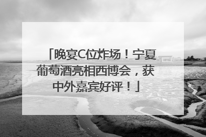 晚宴C位炸场！宁夏葡萄酒亮相西博会，获中外嘉宾好评！