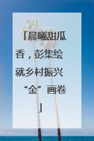 晨曦甜瓜香，彭集绘就乡村振兴“金”画卷