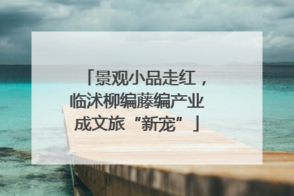 景观小品走红，临沭柳编藤编产业成文旅“新宠”