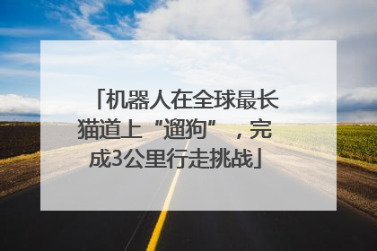 机器人在全球最长猫道上“遛狗”，完成3公里行走挑战