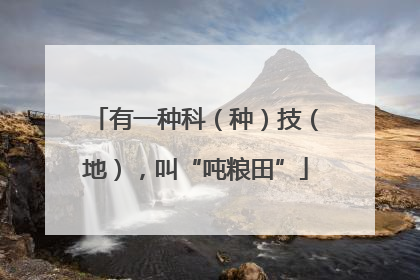 有一种科（种）技（地），叫“吨粮田”