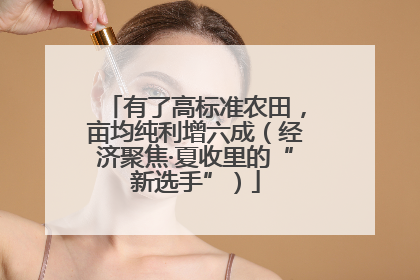 有了高标准农田，亩均纯利增六成（经济聚焦·夏收里的“新选手”）