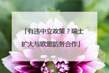 有违中立政策？瑞士扩大与欧盟防务合作