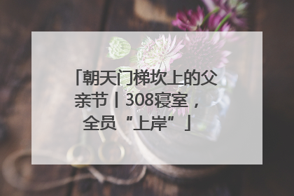 朝天门梯坎上的父亲节丨308寝室，全员“上岸”