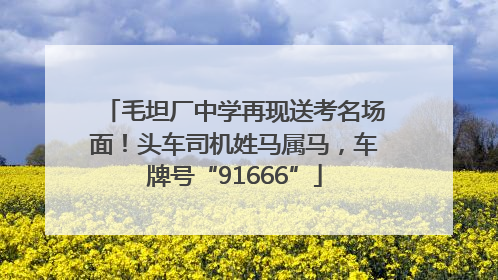 毛坦厂中学再现送考名场面！头车司机姓马属马，车牌号“91666”