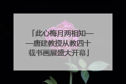 此心梅月两相知——唐建教授从教四十载书画展盛大开幕
