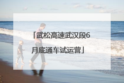 武松高速武汉段6月底通车试运营