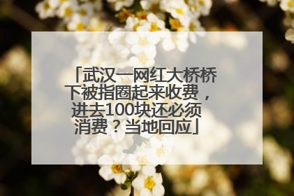 武汉一网红大桥桥下被指圈起来收费，进去100块还必须消费？当地回应