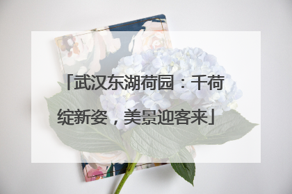 武汉东湖荷园：千荷绽新姿，美景迎客来