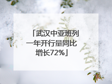 武汉中亚班列一年开行量同比增长72%