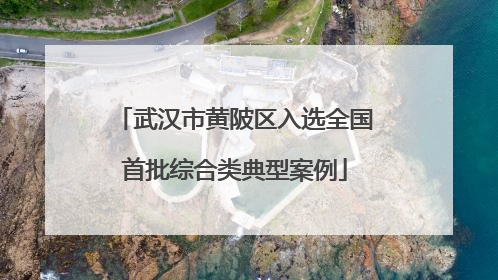 武汉市黄陂区入选全国首批综合类典型案例