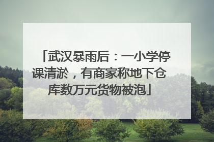 武汉暴雨后：一小学停课清淤，有商家称地下仓库数万元货物被泡