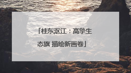 桂东沤江：高擎生态旗 描绘新画卷