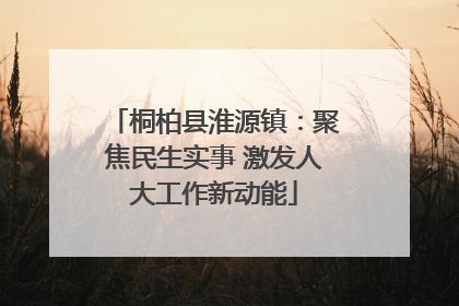 桐柏县淮源镇：聚焦民生实事 激发人大工作新动能