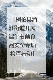 桐柏县清淮街道开展端午节前食品安全专项检查行动