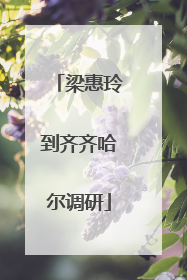 梁惠玲到齐齐哈尔调研