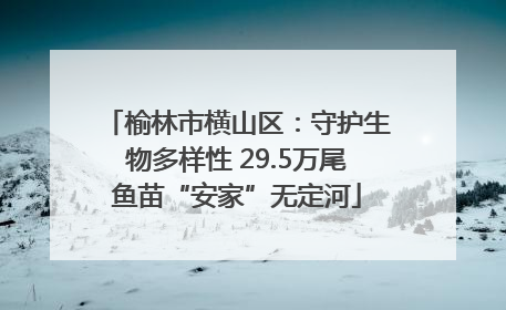 榆林市横山区：守护生物多样性 29.5万尾鱼苗“安家”无定河